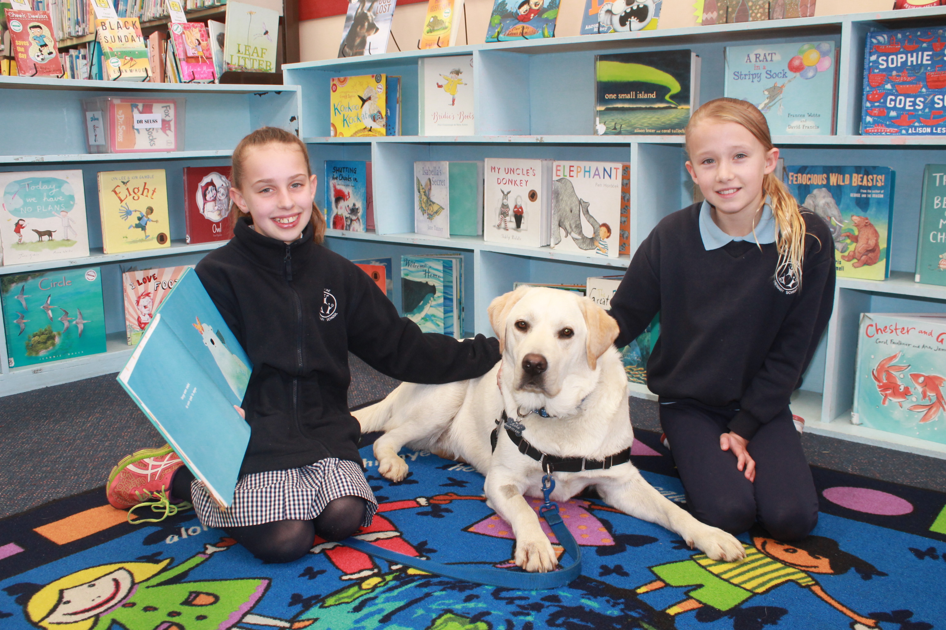 /uploaded_files/media/gallery/1505620464Asha paper 1.jpg